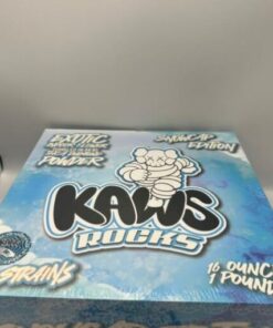 kaws rocks snowcap