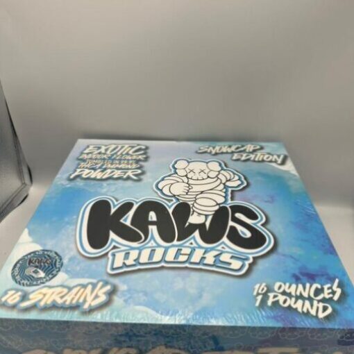 kaws rocks snowcap